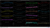 33953_1748501999_Screenshot from 2025-05-29 15-56-14.png